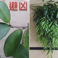 清明快到了! 掃墓該注意的「禁忌」還有怎麼「避凶防煞」，都幫你整理好了! 必收藏超實用!