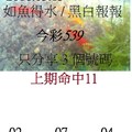 3月15日  今彩539  如魚得水  黑白報報