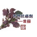 天然抗癌劑——紫蘇  可以試試~