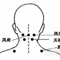 穴位養生法來了一個穴位解決一種病