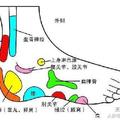 經絡阻塞易衰老，這樣拉伸很有效！