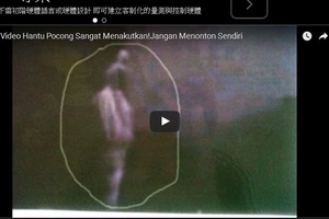 馬來西亞 PAHANG 的老樹下 （明顯）拍攝到會飛的……… 超可怕！！！嚇死人！！！