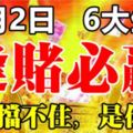 11月2日開始，6大生肖橫財擋不住，逢賭必贏！