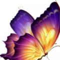 心理測試：哪一隻蝴蝶畫的最美，測你會和現在的另一半共度餘生嗎?