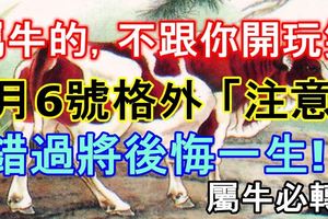 屬牛的，不跟你開玩笑！6月6號格外「注意」，錯過將後悔一生!屬牛必轉！