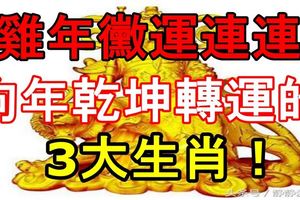 雞年黴運連連，狗年乾坤轉運的3大生肖！