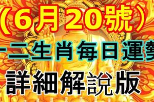 十二生肖每日運勢，詳細解說版！（2017年6月20號）