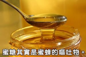 35個讓大家驚呼「我活了那麼多年居然現在才知道」的食物真相。