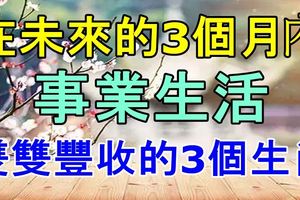 在未來的3個月內，一改頹勢，事業生活雙雙豐收的3個生肖！