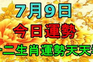 十二生肖運勢天天看，今日運勢：7月9日！