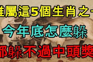 誰屬這5個生肖之一，今年底怎麼躲都躲不過中頭獎！上榜的快轉發！