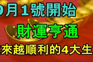 9月1號開始，財運亨通，越來越順利的4大生肖！