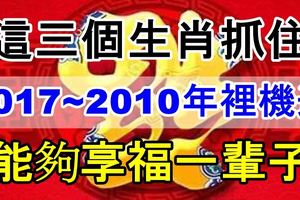 這三個生肖抓住2017~2010年裡機遇，能夠享福一輩子！