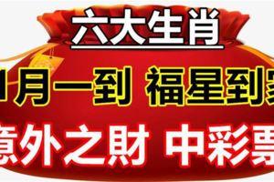 11月一到，這6大生肖不經意就中個彩票，意外之財數到樂開花！