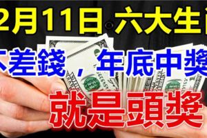 12月11日起不差錢，六大生肖，年底中獎就是頭獎！