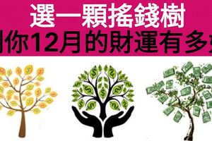 搖錢樹佔蔔-測你12月的偏財運有多好？