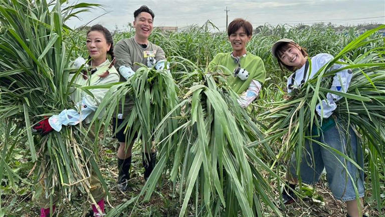 楊繡惠（左起）、無尊、阿翔跟籃籃割草忙餵羊。（圖／民視提供）