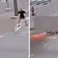 輪椅人士被丟汽油彈　慘遭推向火焰