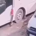 玩一半被車門夾住　沒人發現！被救出晚了