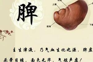 舌頭露出4個破綻，或是脾在「呼救」？堅持好習慣，脾虛不再擾