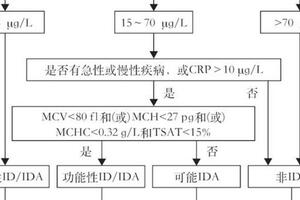 鐵缺乏症和缺鐵性貧血診治和預防的多學科專家共識（2022年版）