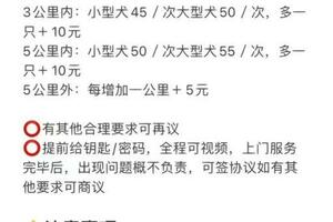 擼貓遛狗還能掙錢！95後兼職春節寵托師，有人10天收入過萬