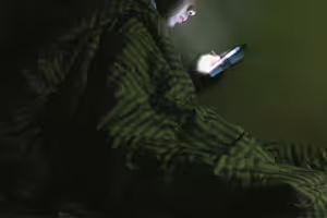 15歲少年熬夜打遊戲「身高僅138公分」　醫查1關鍵嘆：這輩子定格了