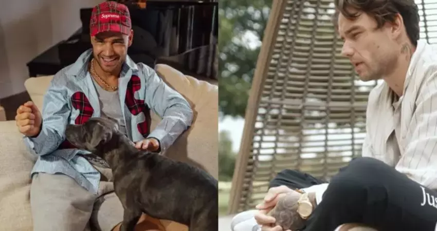 「一世代」前成員Liam Payne猝逝！突傳墜樓噩耗 享年31歲