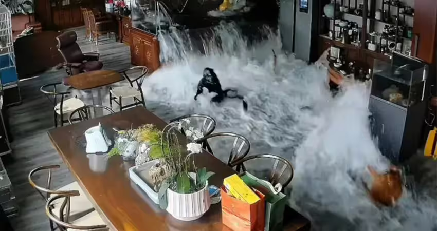 魚缸突爆裂　價值百萬名貴魚全噴飛