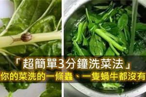  「超簡單3分鐘洗菜法」讓你的菜洗的一條蟲、一隻蝸牛都沒有，太乾淨了！