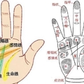 從手相看你是否擁有一雙 發財手！快伸出手看看...說不定會嚇到喔！