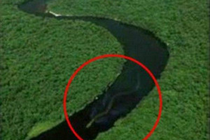 視頻：神秘蛟龍現身？從飛機上拍到長達30公尺的蛟龍出沒河中…