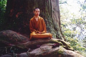 尼泊爾靈修少年——菩提樹下打坐六年，不吃不喝