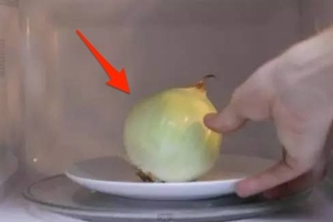 把一顆完整的洋蔥放進微波爐裡，沒想到30秒後，竟然會發生這種事！試過的人都屢試不爽，直說過癮阿！