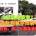 【土豪就是淡定！】200萬法拉利被豐田轎車撞爛　車主輕松自拍：賣一年燕窩就賺回來了！