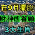 即將在9月擺脫黴運，被財神所眷顧的3大生肖