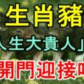 生肖豬，你的「人生大貴人」來了，快開門迎接吧！