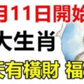 10月11日開始，福運連連，財富翻番，天天有橫財的生肖