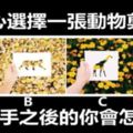 靜下心選擇一張動物剪紙畫，測分手之後的你會怎樣