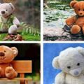 心理測試：選一個喜歡的玩具熊，測試在朋友眼中你是怎樣的性格？