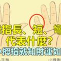 小拇指長、短、彎曲代表什麼？看小拇指就知財運如何
