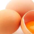 吃雞蛋不能喝豆漿？其實真正要注意的是這些，你一直沒重視