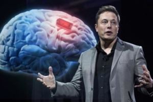 讓人工智慧為人類解決問題：Tesla總裁創業結合人腦與電腦，將有望治療腦神經疾病