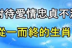 對待愛情忠貞不渝，從一而終的生肖！