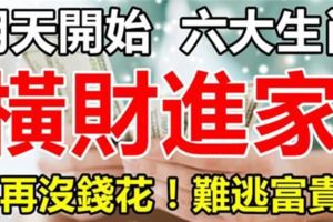 不用算命了，明天開始這六大生肖，橫財進家門不再沒錢花