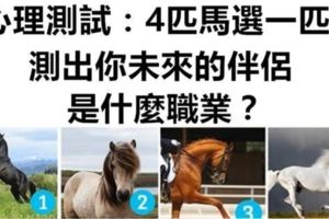 心理測試：4匹馬選一匹，測出你未來的伴侶是什麼職業？
