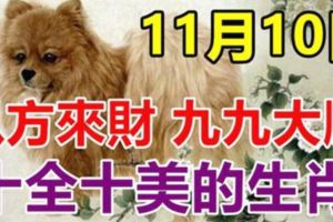 11月10日，八方來財，九九大順，十全十美的生肖