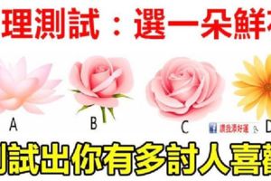 心理測試：4朵鮮豔的鮮花選一朵，測出你多討人喜歡！