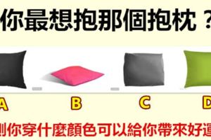 你最想抱那個抱枕？測你穿什麼顏色可以給你帶來好運~