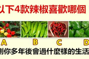 以下4款辣椒喜歡哪個？測你多年後會過什麼樣的生活！